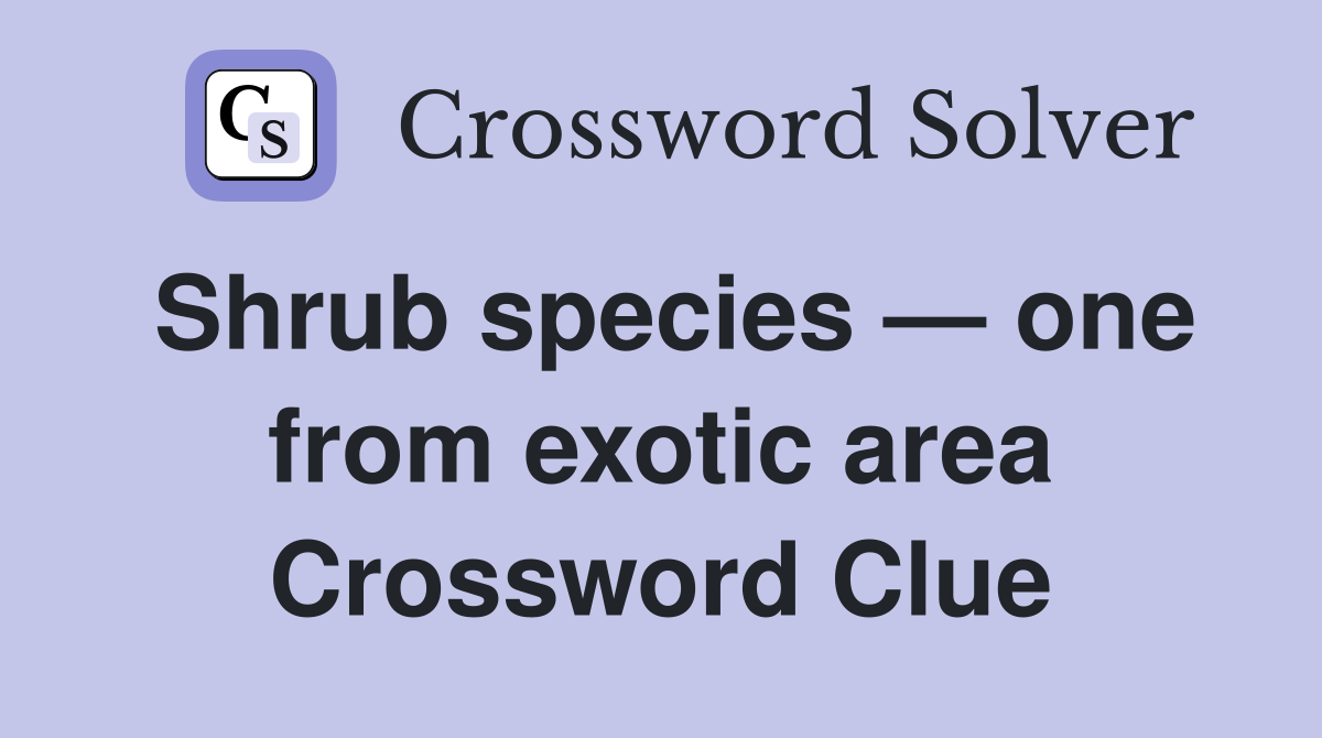 Shrub species — one from exotic area Crossword Clue Answers